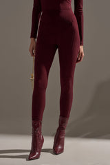 TWINKLING LIGHTS RHINESTONE MESH LEGGINGS IN BURGUNDY