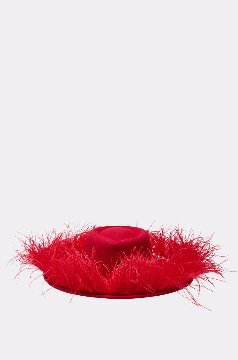 LETS FLIRT FEATHER BRIM HAT