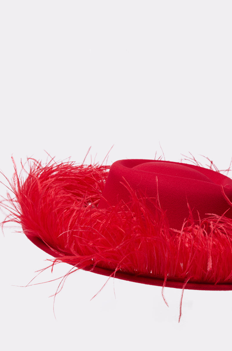 LETS FLIRT FEATHER BRIM HAT
