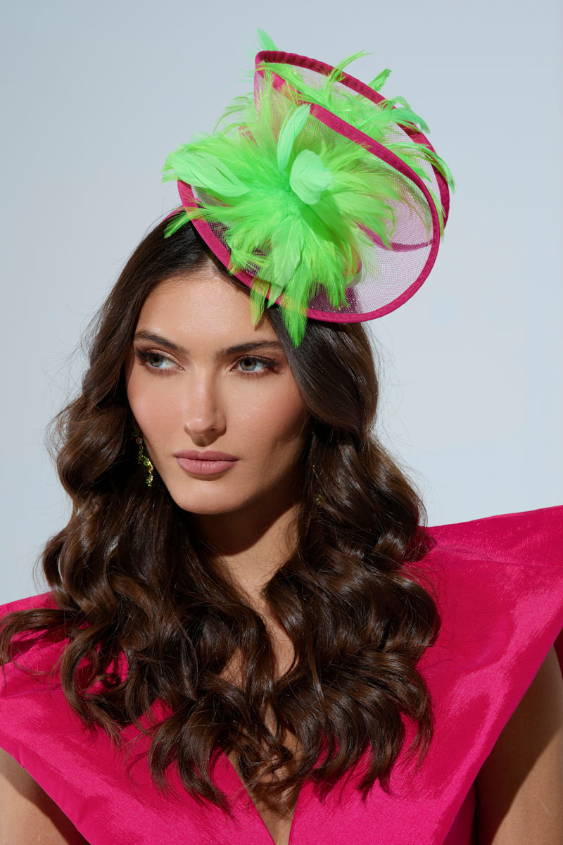 TO THE DERB FASCINATOR